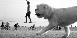 Photographer Uses Forced Perspective To Transform Ordinary Beaches Into A Land Of Giants