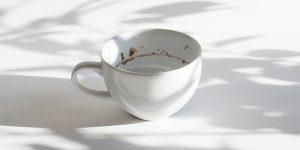 This Awesome Tiny Landscape In A Coffee Cup