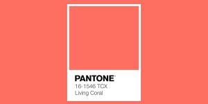 Pantone Colour Of The Year 2019 – Living Coral Is Your Shade Next Year