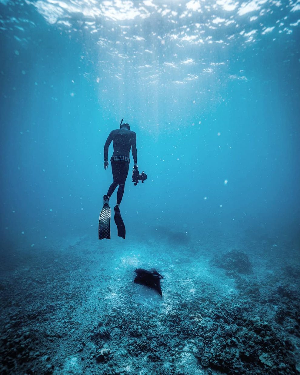 “The Big Blue”: Astonishing Underwater And Freediving Photography By ...