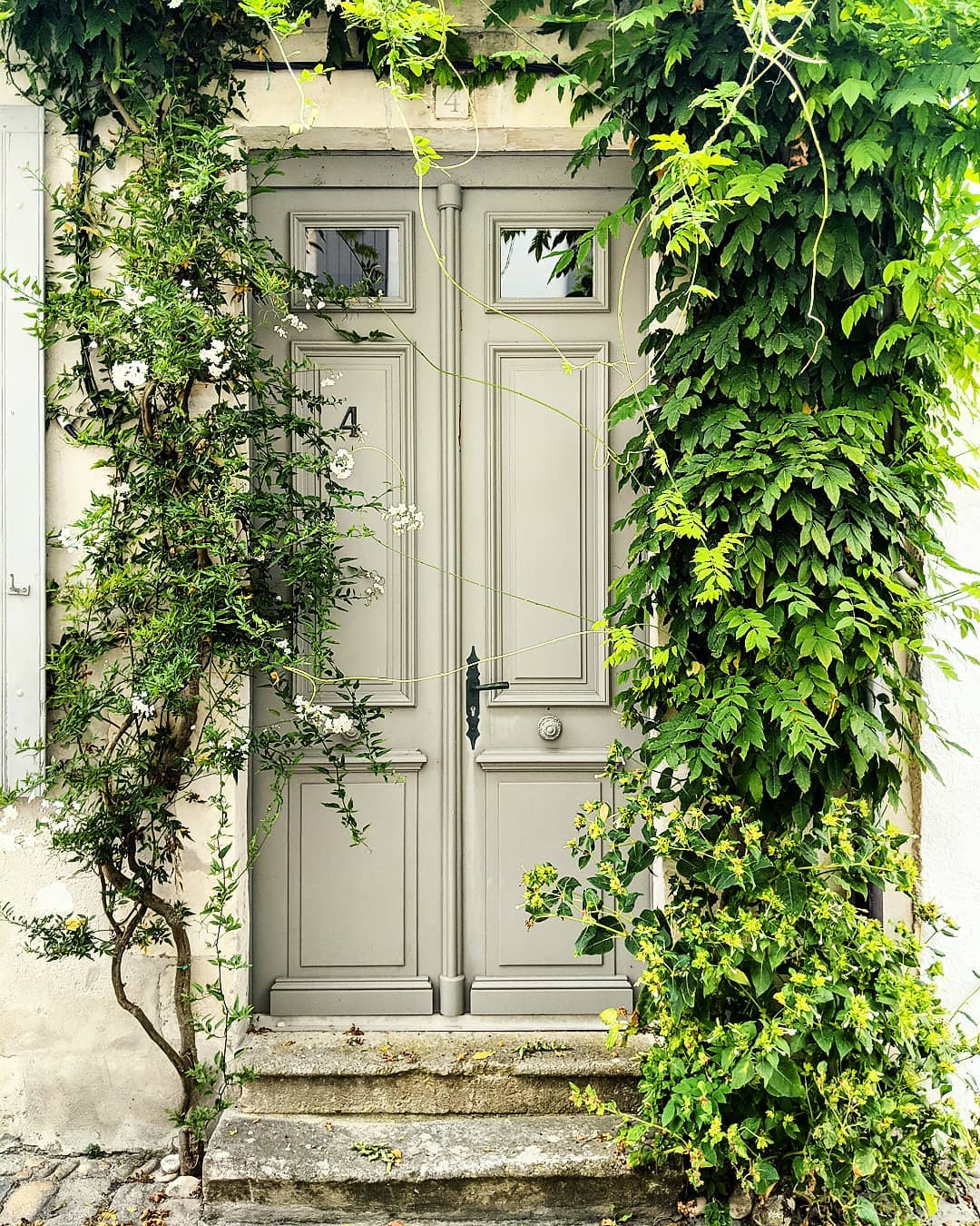 Красивые старые двери. Красивые двери. Красивая дверь в дом. Старинная дверь. Дверь с зеленью.