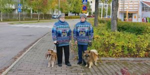 Life-Size Crochet Sighting In Kyröskoski, Finland, Bet You Had To Look Twice!