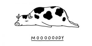 Moody Animal Puns That Will Remind You That It’s OK To Be Sad