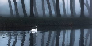 Silent Waters: Beautiful And Extraordinary Outdoor Photography By Karen Heslinga