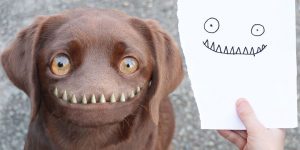 Dad Continues To Recreate Son’s Adorable Drawings Into Hilarious Real-Life Counterparts