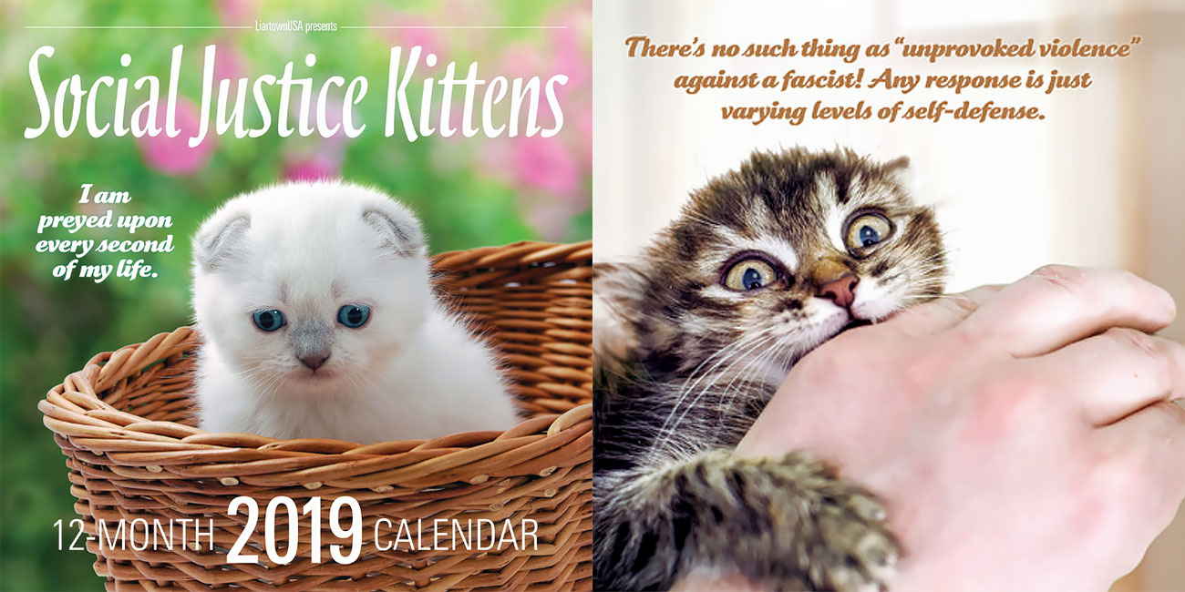 2019 Social Justice Kittens Calendar Is Here! » Design You Trust
