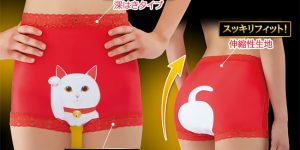 Lucky Cat Underwear Will Bring Good Fortune To Your Crotch