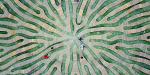 South-Korean Architect Made A Bench That Looks Like A Root System