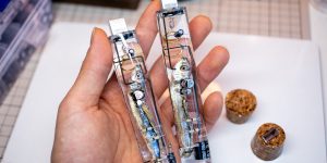 A Flash Drive Made To Look Like You're Storing Data On A Fish's Brain