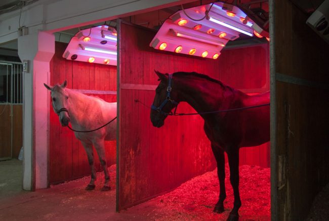 “Russian Elite”: Photographer Documents Life Of Rich And Poor In The ...