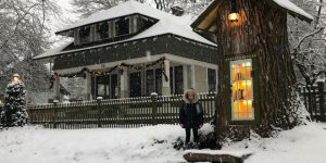 Librarian Transforms 110-Year-Old Tree Into Jaw-Dropping Little Free Library