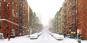 Elevations & Avenues: Aesthetic New York Streetscapes By Matt Petosa