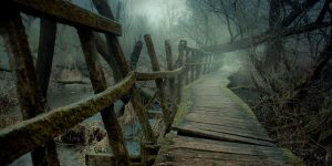 This Hidden Chilling Forest Path Looks Like A Trail To Mordor