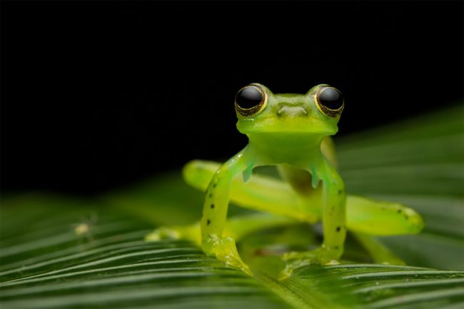 Spectacular Winning Photos Of The Australia’s 2018 Photographer Of The ...