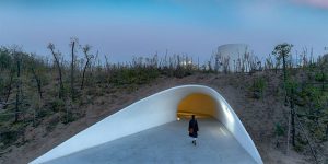 This Cave-Like Art Gallery Has Been Built Inside A Sand Dune