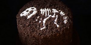 The Pastry Chef From St. Petersburg Bakes Cakes In The Form Of KFC Wings, Chinese Noodles & Dead Pigeons