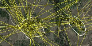 GPS Map Composed Of 68,000 Pinpoints Tracks The Territorial Nature Of Minnesota Wolves