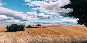 Apple Highlights Best Photos Shot On iPhone Around The World