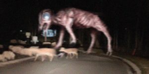 From The Depths Of Your Nightmares - The Fantastically Disturbing Creepy Art Of Trevor Henderson