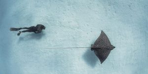 Breathtaking Underwater Photography By André Musgrove