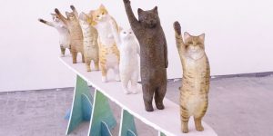 Japanese Art Student’s Graduation Project Is A Lineup Of Cats Adorably Asking You For High Fives