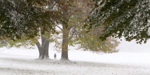 Snow In NYC: Photos Of The Winter Wonderland By Joseph O. Holmes