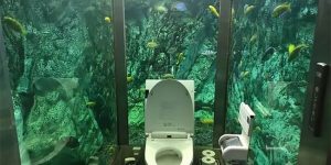 This Incredible Japanese Aquarium Toilet
