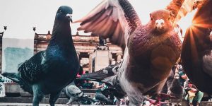 Striking Urban And Street Photography By Alfonso León