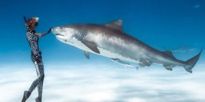 Dancing With Sharks: Incredible Underwater Photography By Juan Oliphant