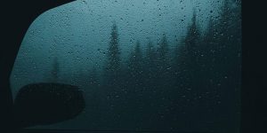 Breathtaking Moody And Mysterious Forest Photography By Dylan Furst