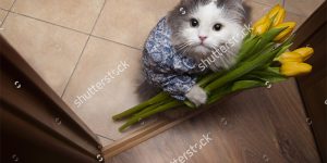 50 Completely Weirdest Stock Photos You Won’t Be Able To Unsee