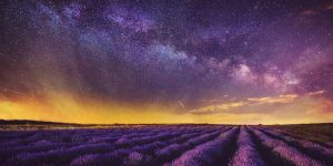 Photographer Spent 10 Years Photographing The Romanian Countryside Which Looks Like A Fairy Tale