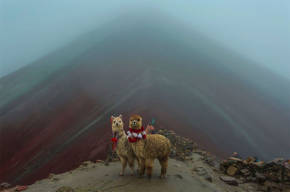 Фотоархив National Geographic