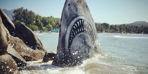 Graffiti Artist Jimmy Swift Turns Beach Stone Into A Great White Shark