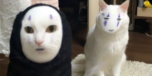 This Is What Happens When You Face Swap A Cat With Spirited Away’s No-Face