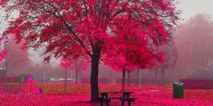 Colorful Travel And Landscape Photography By Hatice Korkmaz