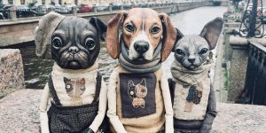 Russian Designer From St. Petersburg Makes Toy Cats And Photographs Them In The City