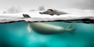 The National Geographic’s Travel Photo Contest Is Over And Here Are The Winners
