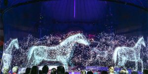 German Circus Uses Holograms Instead Of Live Animals For A Cruelty-Free Magical Experience