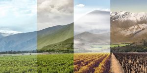 One Photo, Four Seasons: This Is How 8 Different Locations Around The World Look Across The Four Seasons