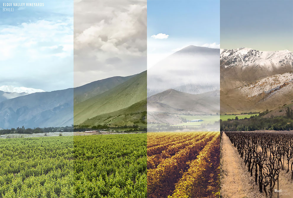 “One Photo, Four Seasons”: This Is How 8 Different Locations Around The