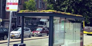 The City Of Utrecht In The Netherlands Turns 316 Bus Stops Into Bee Stops