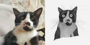 Artist Draws Obscure But Adorable Creatures From Hundreds Of Hatched Line