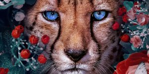 Superb Surreal Animal Artworks By Andreas Häggkvist