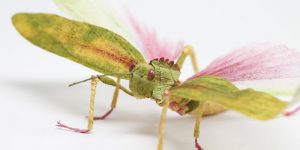 This Paper Artist Creates Realistic Life-Like Animals And Insects