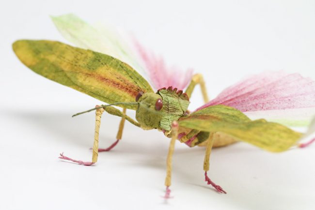 Crepe Paper Insects Paperart Tropidacris Locust By Faltmanufaktur01 Feature 5d250fb26d788 880