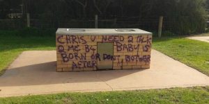 Pregnant Woman Is Painting Graffiti All Over This Australian Town, Trying To Reach The Father