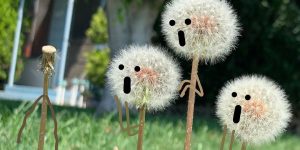 Crack Yourself Up With Sean Charmatz’s Amazing Creations