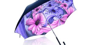 Open Up Your Umbrella To See Beautiful 360° Photography With The Panorella