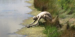 Sophie Prestigiacomo’s 'Homo Algus' Invites Swamp Creatures Out Of The Wild